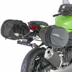 Coppia Borse Laterali ST609